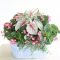 Beautiful Summer Container Garden Flower Ideas 48