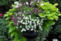 Beautiful Summer Container Garden Flower Ideas 51
