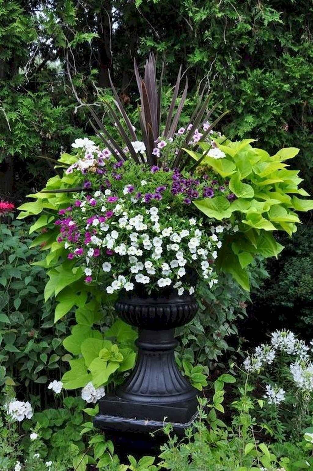 Beautiful Summer Container Garden Flower Ideas 51
