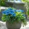 Beautiful Summer Container Garden Flower Ideas 52