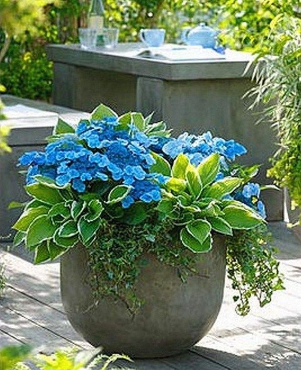 Beautiful Summer Container Garden Flower Ideas 52