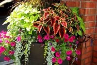 Beautiful Summer Container Garden Flower Ideas 53