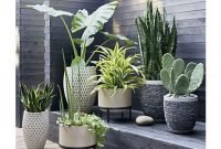 Unique Indoor Garden Design Ideas For Fresh House 53