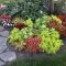 Unusual Flower Garden Ideas For Your Home 04