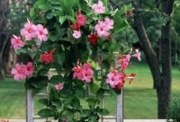 Unusual Flower Garden Ideas For Your Home 07