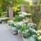 Unusual Flower Garden Ideas For Your Home 11