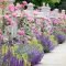 Unusual Flower Garden Ideas For Your Home 20