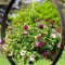 Unusual Flower Garden Ideas For Your Home 38