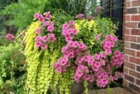 Unusual Flower Garden Ideas For Your Home 40