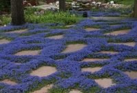 Newest Stepping Stone Pathway Ideas For Your Garden 13
