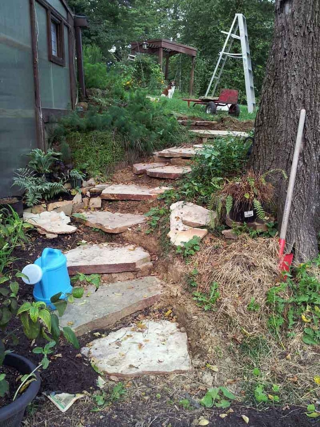 Newest Stepping Stone Pathway Ideas For Your Garden 41