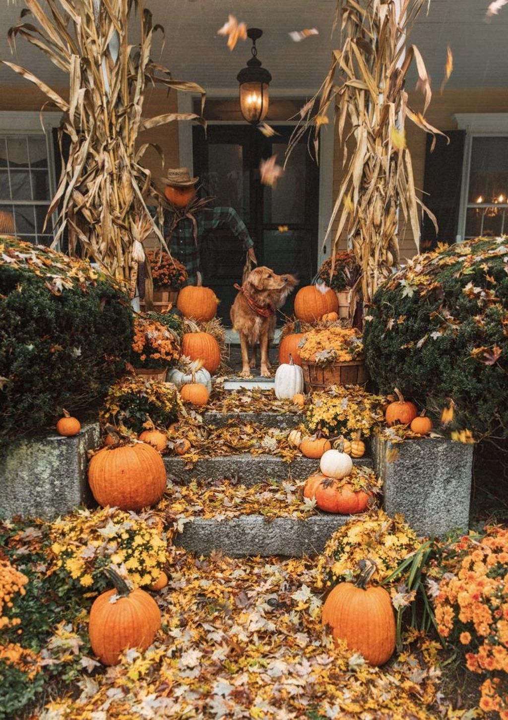 Perfect Fall Outdoor Decoration For Your Inspiration 19