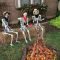 Cool DIY Halloween Decoration Ideas For Limited Budget 16