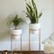Popular Indoor Plant Stands Ideas For Fresh Home Inspiration 01