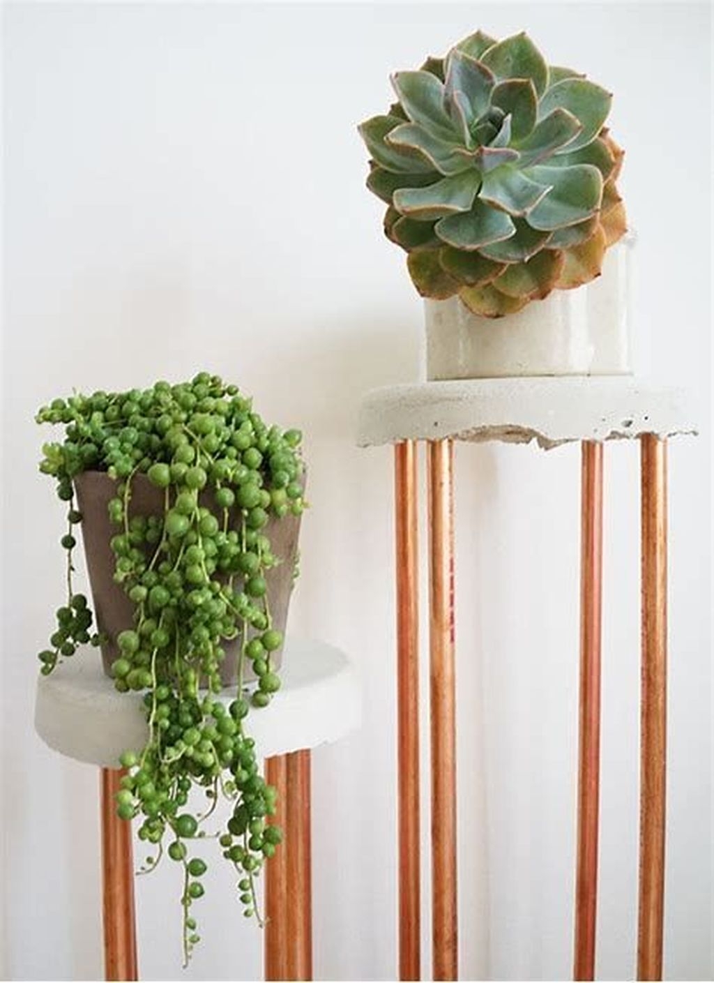 Popular Indoor Plant Stands Ideas For Fresh Home Inspiration 03