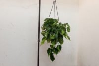 Popular Indoor Plant Stands Ideas For Fresh Home Inspiration 06