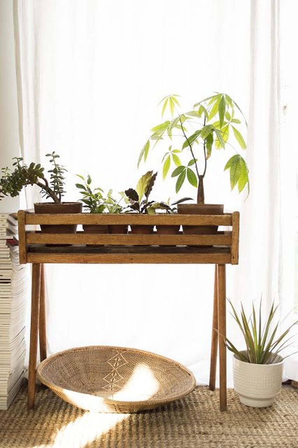 Popular Indoor Plant Stands Ideas For Fresh Home Inspiration 07