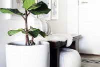 Popular Indoor Plant Stands Ideas For Fresh Home Inspiration 10