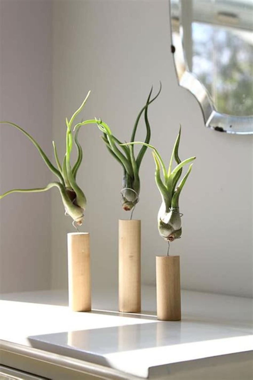 Popular Indoor Plant Stands Ideas For Fresh Home Inspiration 11