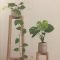 Popular Indoor Plant Stands Ideas For Fresh Home Inspiration 14
