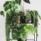 Popular Indoor Plant Stands Ideas For Fresh Home Inspiration 15