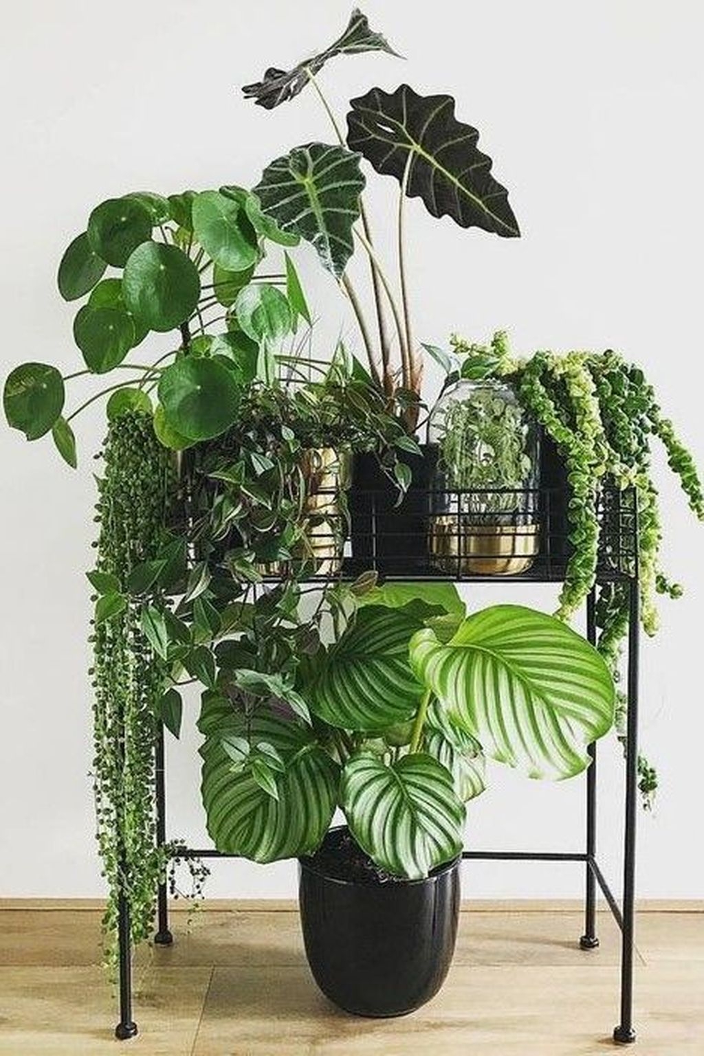 Popular Indoor Plant Stands Ideas For Fresh Home Inspiration 15