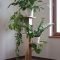 Popular Indoor Plant Stands Ideas For Fresh Home Inspiration 16