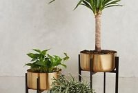 Popular Indoor Plant Stands Ideas For Fresh Home Inspiration 18