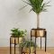 Popular Indoor Plant Stands Ideas For Fresh Home Inspiration 18