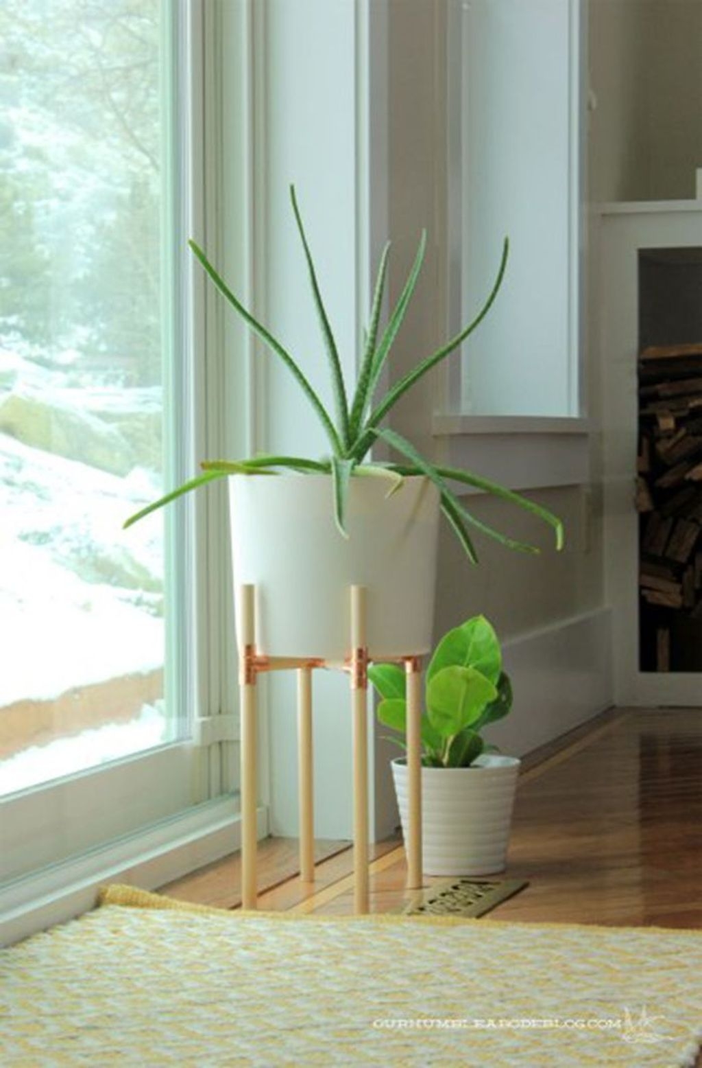 Popular Indoor Plant Stands Ideas For Fresh Home Inspiration 21