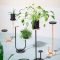 Popular Indoor Plant Stands Ideas For Fresh Home Inspiration 22