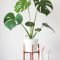 Popular Indoor Plant Stands Ideas For Fresh Home Inspiration 23