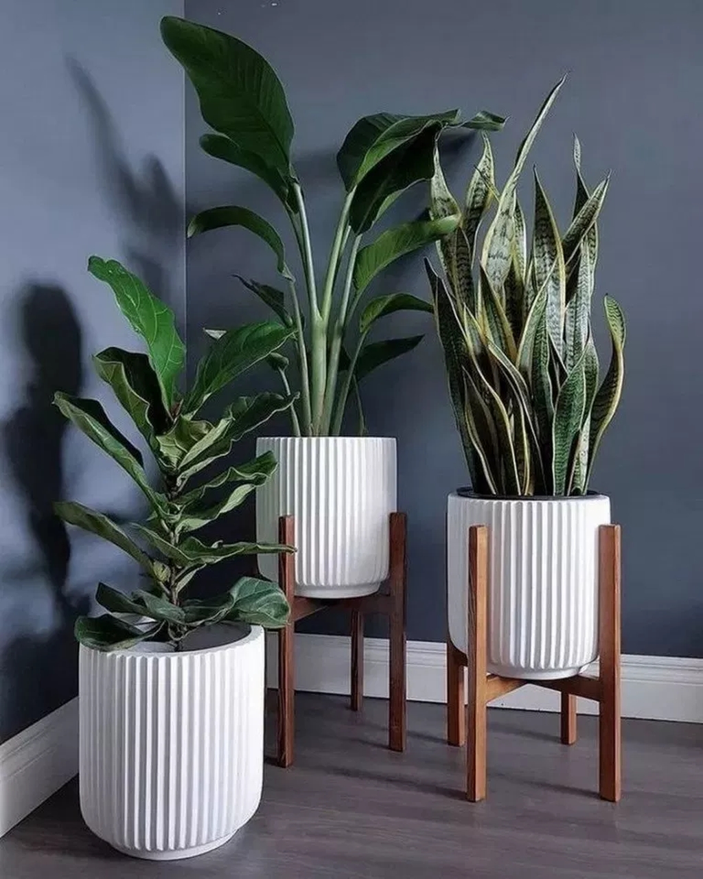 Popular Indoor Plant Stands Ideas For Fresh Home Inspiration 24