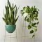 Popular Indoor Plant Stands Ideas For Fresh Home Inspiration 28
