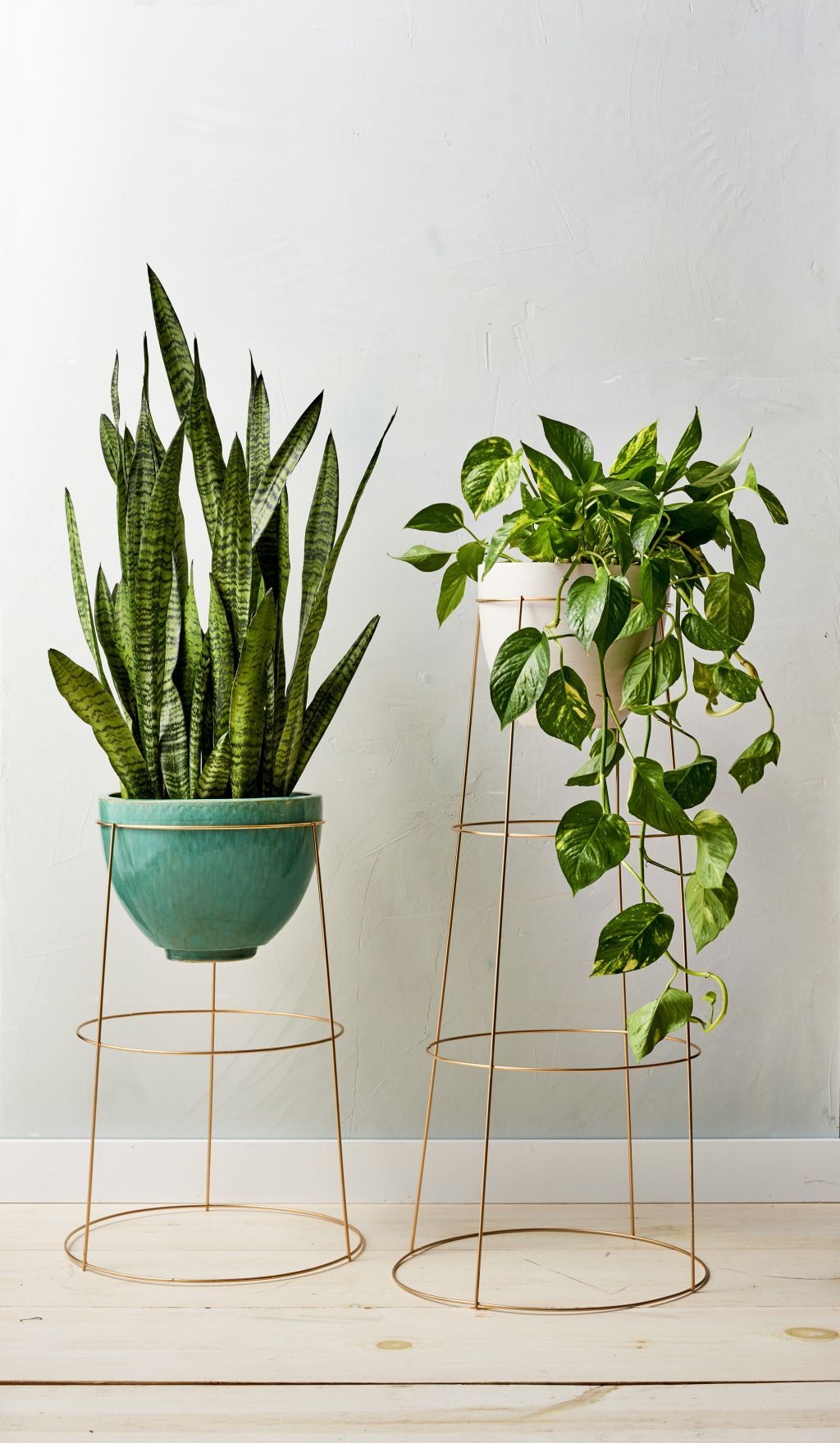 Popular Indoor Plant Stands Ideas For Fresh Home Inspiration 28