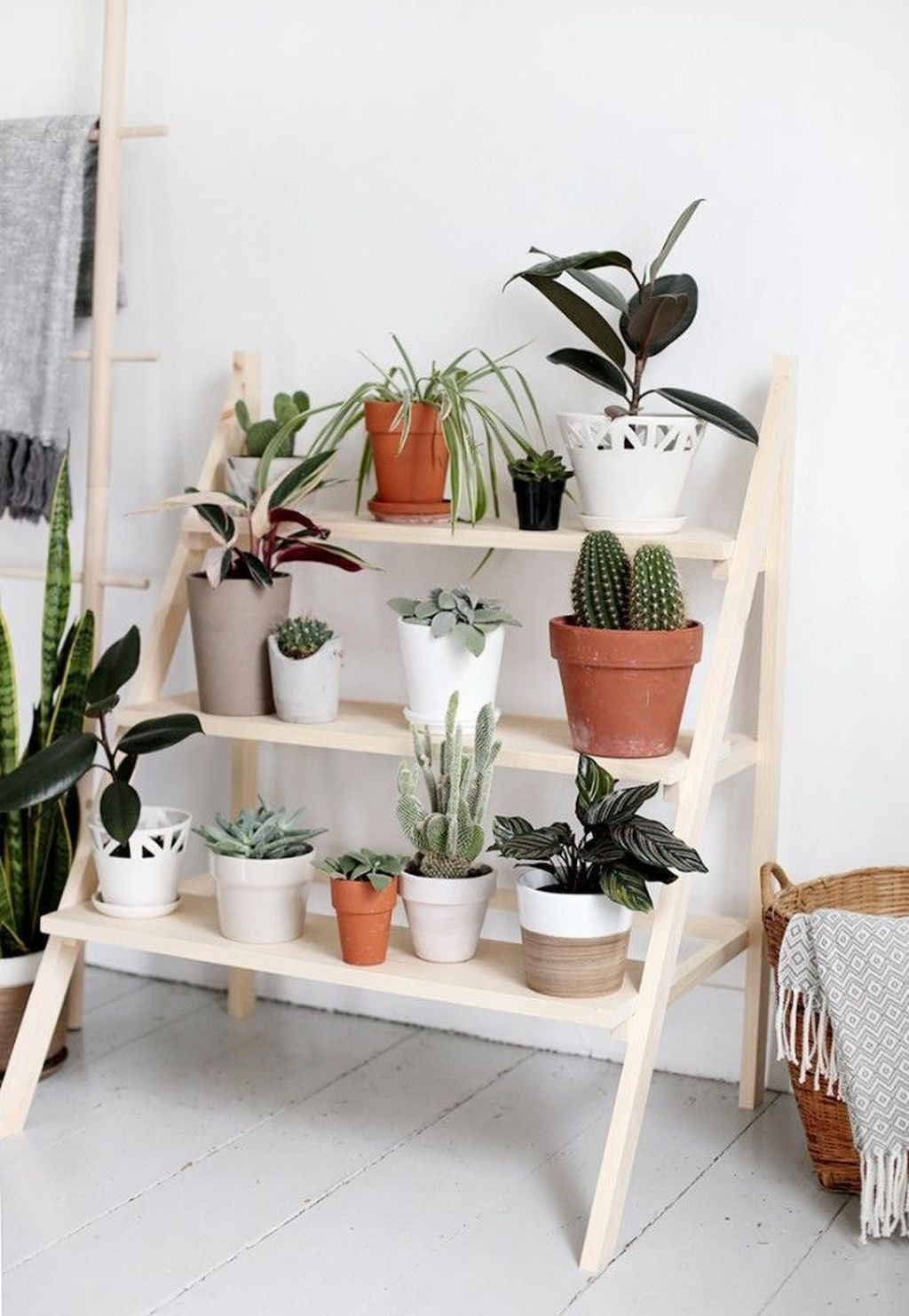 Popular Indoor Plant Stands Ideas For Fresh Home Inspiration 34