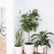 Popular Indoor Plant Stands Ideas For Fresh Home Inspiration 35