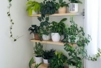 Popular Indoor Plant Stands Ideas For Fresh Home Inspiration 36