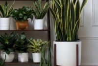 Popular Indoor Plant Stands Ideas For Fresh Home Inspiration 37
