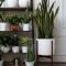 Popular Indoor Plant Stands Ideas For Fresh Home Inspiration 37