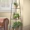 Popular Indoor Plant Stands Ideas For Fresh Home Inspiration 41