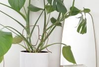 Popular Indoor Plant Stands Ideas For Fresh Home Inspiration 42
