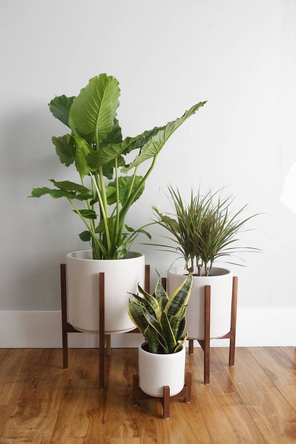 Popular Indoor Plant Stands Ideas For Fresh Home Inspiration 45
