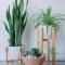 Popular Indoor Plant Stands Ideas For Fresh Home Inspiration 47
