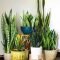 Popular Indoor Plant Stands Ideas For Fresh Home Inspiration 48