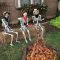 Scary DIY Halloween Projects That Will Give Your Guests A Fright 30