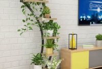 Affordable House Plants For Living Room Decoration 01