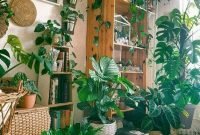 Affordable House Plants For Living Room Decoration 03