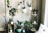 Affordable House Plants For Living Room Decoration 04