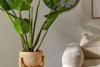 Affordable House Plants For Living Room Decoration 08